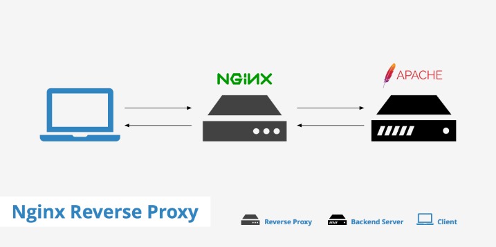 How To Master Server Administration Information And Ideas
